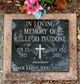 Kelli Daidone death by force case profile photo