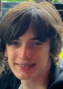 Demarian Palmisano death by force case profile photo