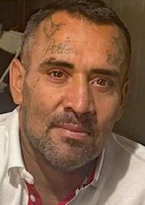 Ro Gamboa death by force case profile photo