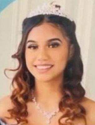 Giselle Ortega death by force case profile photo