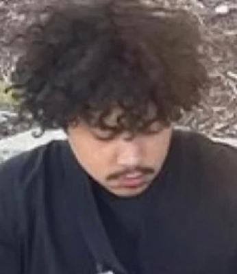 Darnell Lovings death by force case profile photo