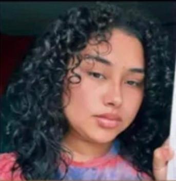 Diana Alvarado death by force case profile photo