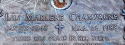 Lili Fiello death by force case profile photo