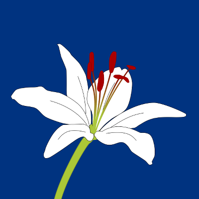 Arthur Morley death by force case profile photo