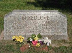 Joseph Breedlove death by force case profile photo