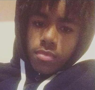 Lewis Johnson death by force case profile photo