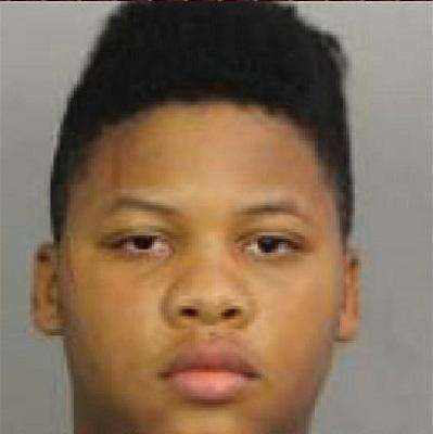 Navaras Johnson death by force case profile photo