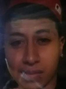 Bernardo Catalan death by force case profile photo