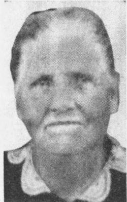 Anna VanCamp death by force case profile photo