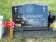 Alex Hernandez death by force case profile photo