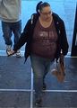 Lisa Pipp missing person case profile photo