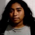 Diana Pena missing person case profile photo
