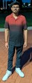 Hari Karasani missing person case in Healy, Alaska