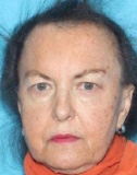 Mary Lesnik missing person case in Chicago, Illinois
