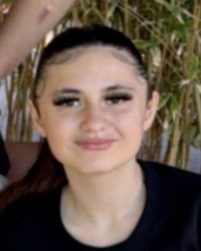 Ariel Mead missing person case in LAVEEN, Arizona