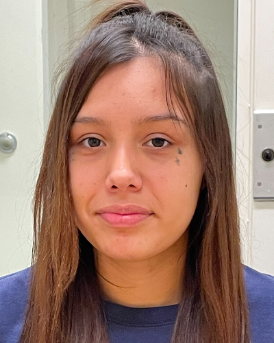 Ariel Feliciano missing person case in Bellingham, Washington
