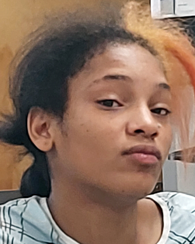 Lovelylisa Mells missing person case in Newark, New Jersey