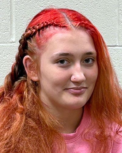 Sophia Wilson missing person case in Dallas, Georgia