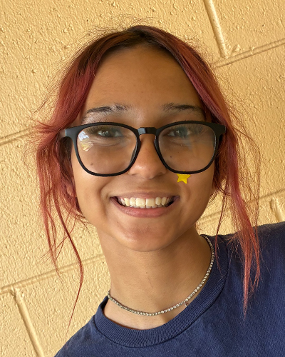 Naiomi Michael missing person case in KEAAU, Hawaii
