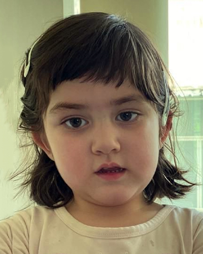 Hannah Mojadidi missing person case in Annandale, Virginia