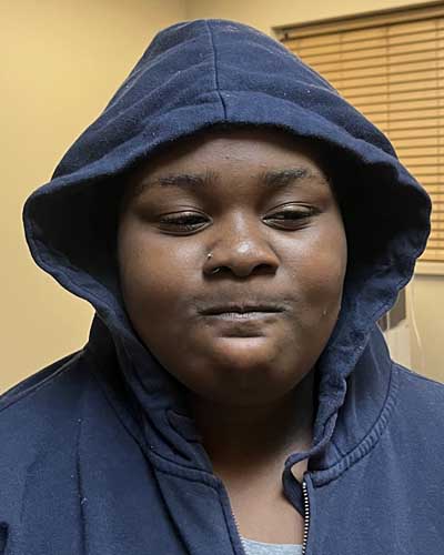 Reaniahyia Alley-bell missing person case in WICHITA, Kansas