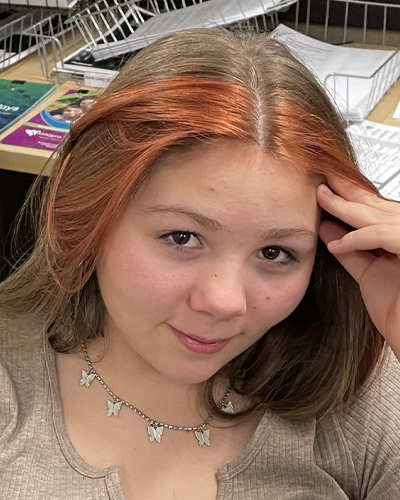 Lindsey Sloan missing person case in MICHIGAN CENTER, Michigan