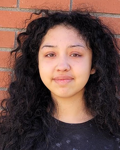 Lily Castillo missing person case in Phoenix, Arizona