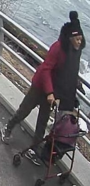 Kimberly M JACKSON missing person case in Niagara Falls, New York